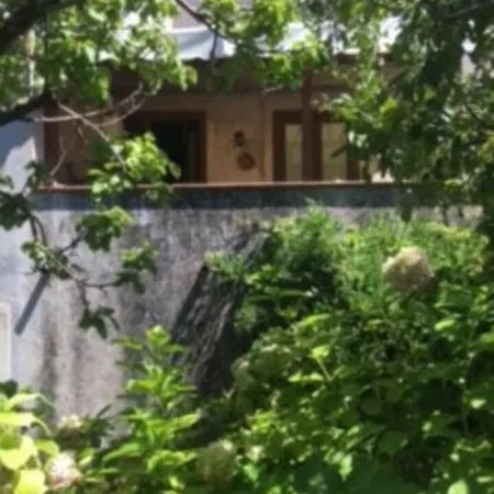 Feriehus Casa Vita *